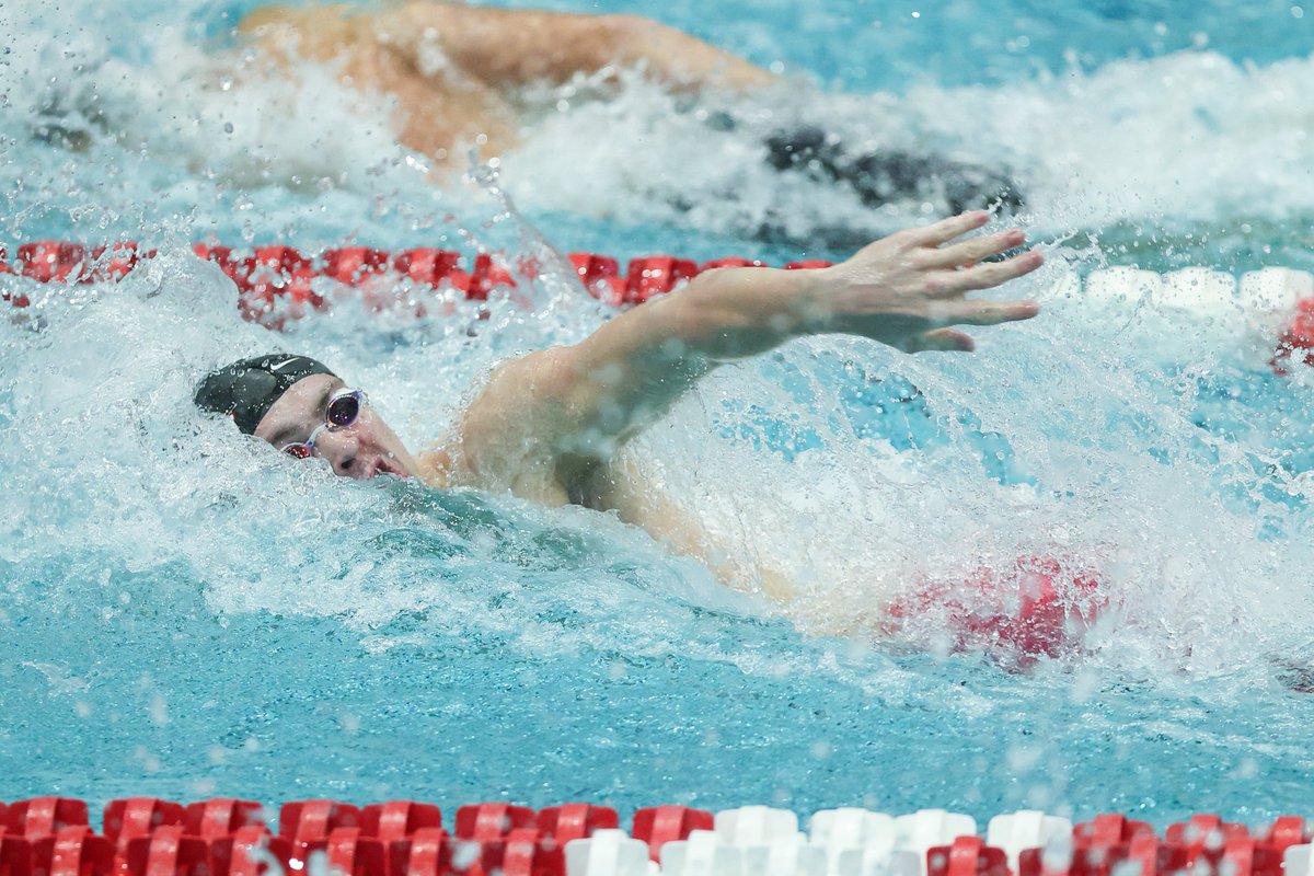 🥉 Luca Urlando, Zach Hils, Bradley Dunham, and Jake Magahey take the bronze in the 800 freestyle relay with an A-cut time of 6:14.00, the fourth-fastest time in program history.

#SECSD21 | #GoDawgs 🐾