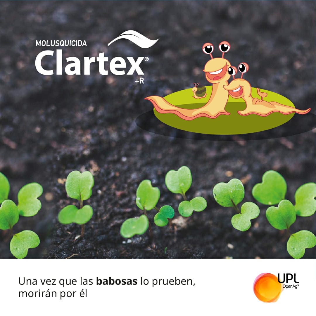 uplagro_chile's tweet photo. ¡Protege tu cultivo de raps de #BabosasyCaracoles y asegura el rendimiento de tu cultivo con el #Molusquicida Clartex® +R de UPL! 🐌🌱
✳️ Mayor atractividad y palatabilidad
Conoce más sobre Clartex® en 👉 https://t.co/rnnu2JvhHU
#SolucionesUPL #Clartex #CultivoRaps #UPLChile https://t.co/SSwX1Sgasu