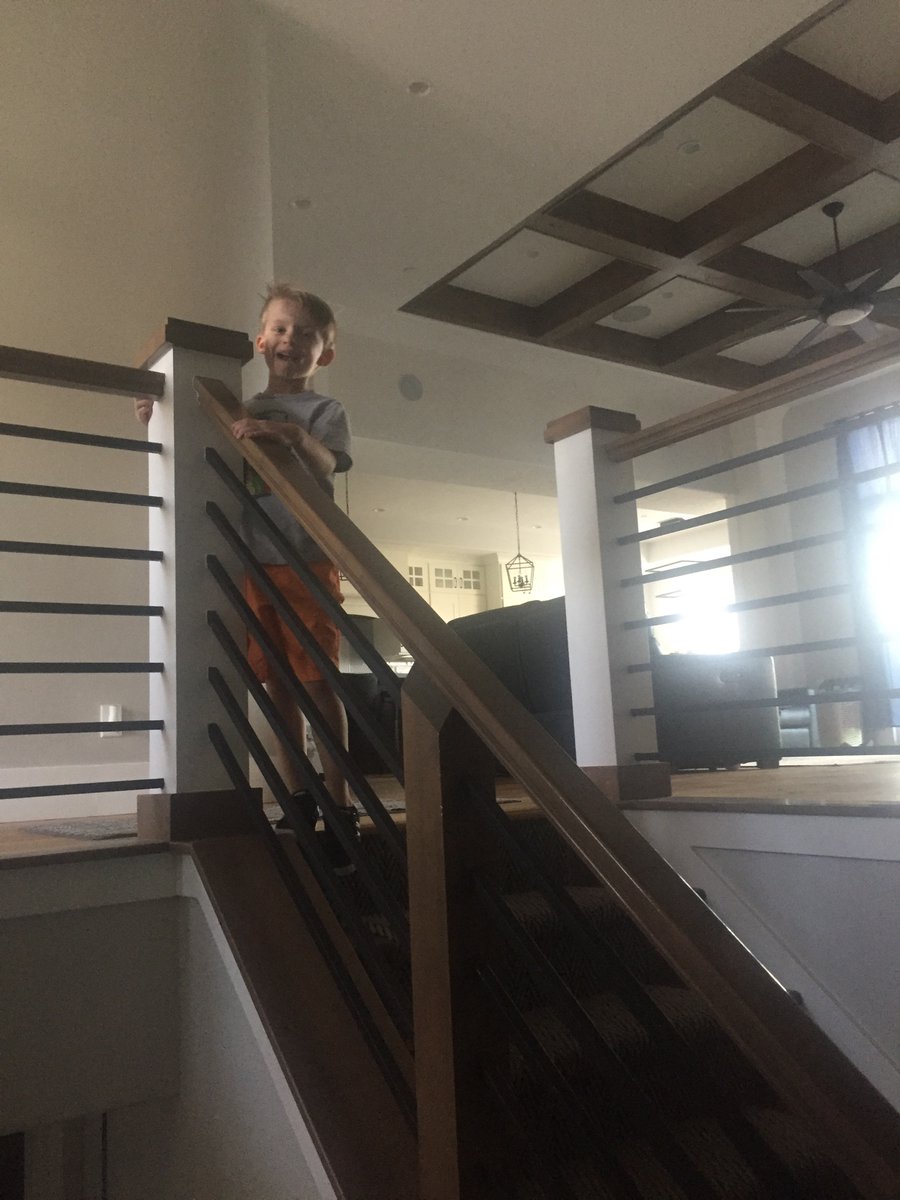 Wilkdavi's tweet photo. You look mischievous...🧐🤔 https://t.co/VjH3TJNm3n