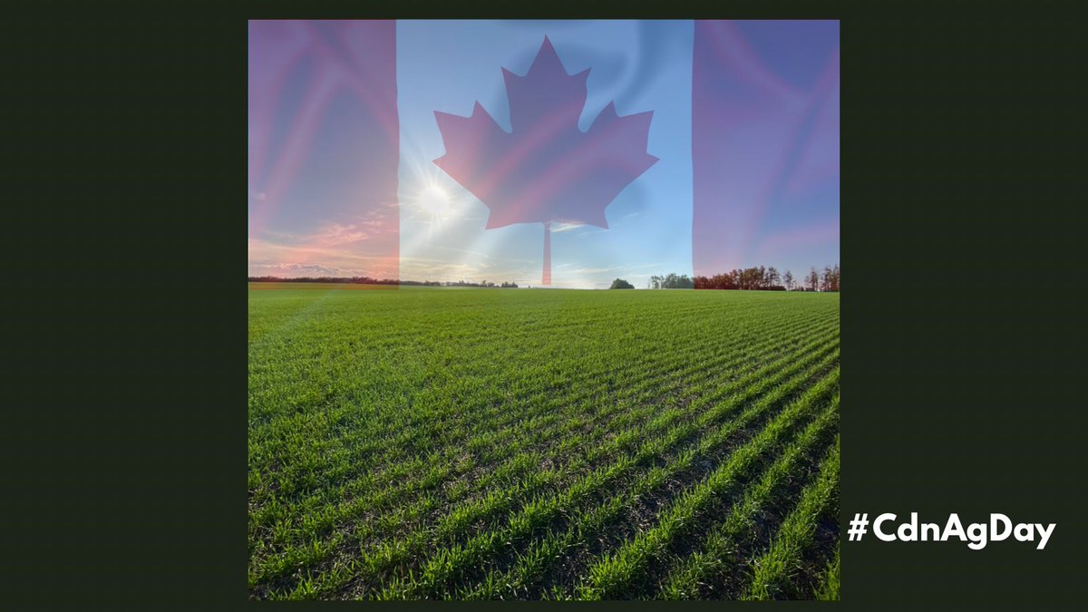 Happy #CdnAgDay. Thank you to everyone involved in Canadian Agriculture! We are proud to work alongside you 😊
