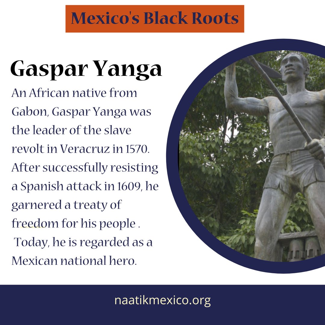 Want to learn more Mexican Black History? Follow our posts this week and sign-up on for our newsletter on our website.

#BlackHistoryMonth #MexicanHistory #TheThirdRoot #IndigenousHistory #BLM #BlackLivesMatter #LatinHistory
