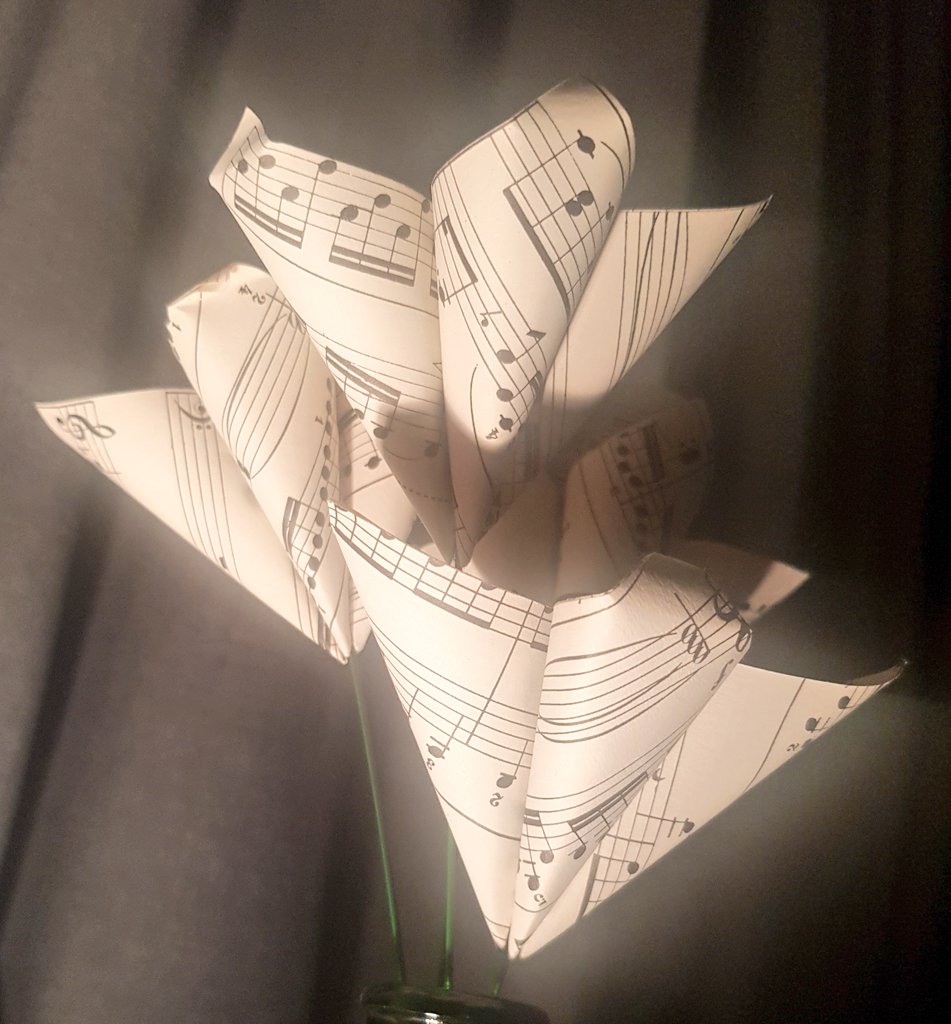 SenoraCT's tweet photo. Came home to these....from the simply wonderful fairy godmother @PaulineMurray8 ..straight on the piano! 🎵🎵❤❤#knowsmetoowell #hobbits #missyou https://t.co/OKJf3uZYYB