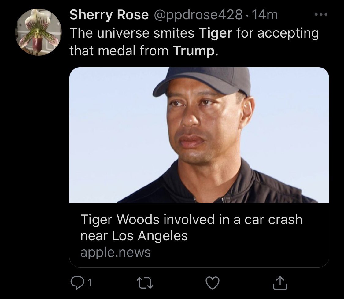 robbystarbuck's tweet photo. Tiger Woods was critically injured in a crash and this is how some people react. These people are truly evil and sick. https://t.co/Dpzo0lpSAe