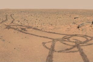 ChefRonSullivan's tweet image. Martians vs Humans 

🌍 👽 👨🏼