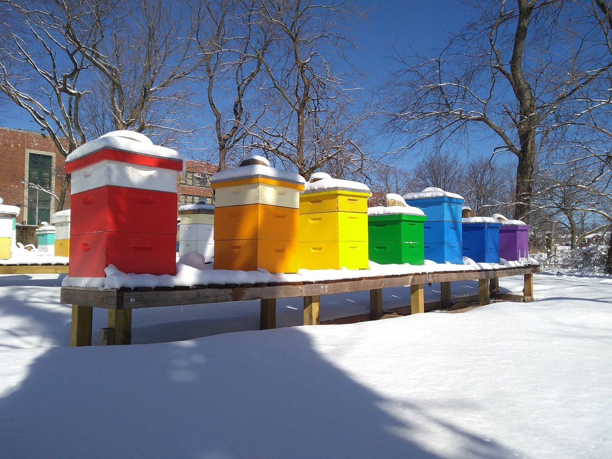 queensfarm's tweet photo. Whatever the weather, there's always a rainbow at Queens Farm! ππ #queensbees #andrewshoney #queensfarm #richmondcountysavingsfoundation #clifbarfamilyfoundation #apiary #rainbowhives https://t.co/gs64cDFYg8