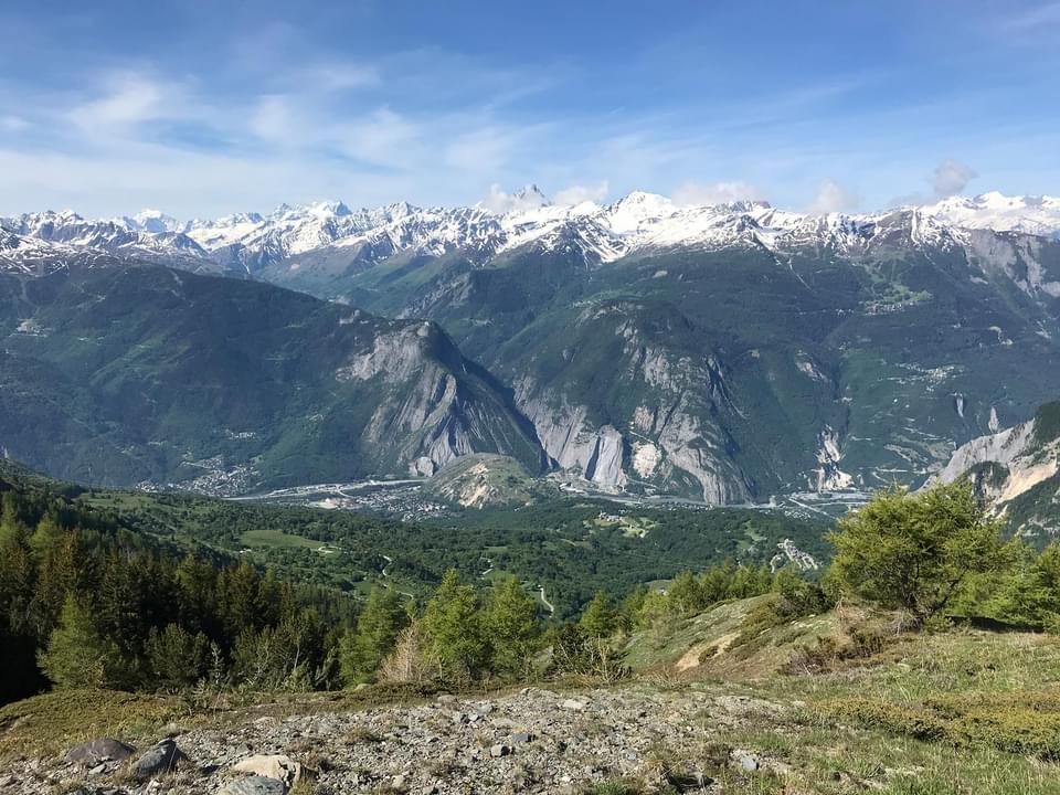 Laurent_Paviet tweet media