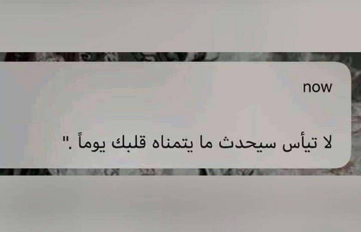 NADEEN tweet media