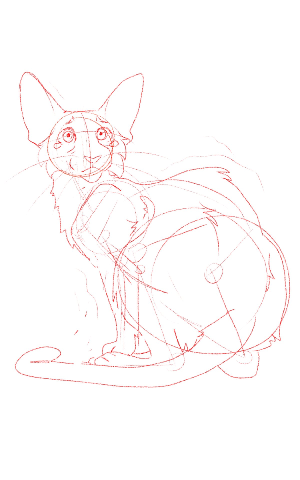 Ravenpaw Warriors Sticker