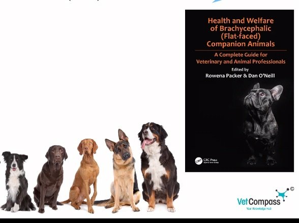 Ariana_Activist's tweet photo. Excellent info from the @apdawg meeting tonight.
Special thanks to @RoyalVetCollege lecturers Dan O'Neil & Rowina Parker for their awesome presentations.
Also, the intros from #AnimalProtectionServices & the Dog Breeding Reform Group #DBRG & to all the other amazing speakers 🙏 https://t.co/Fgqjoxyt6d