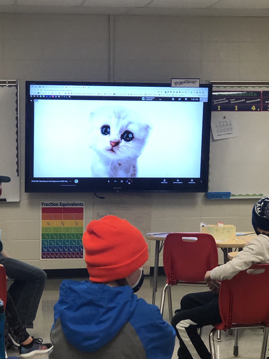 Paula Wilkins tweet media