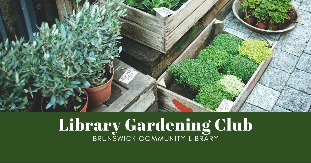 Brunswickcomlib's tweet photo. Gardening season is on the way and we are already prepping our 2021 Seed Library! In the meantime, join our Gardening Club and connect with other plant lovers. 🌿 https://t.co/2x6niSbENB https://t.co/U3Agob6pyy
