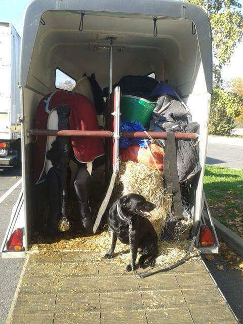 HOW NOT TO TRAVEL with a horse from North Yorkshire,  to central France 😳 #ponyhour #tackroomfriday #horsesoftwitter #Horses #horsetrailer #bloodymad