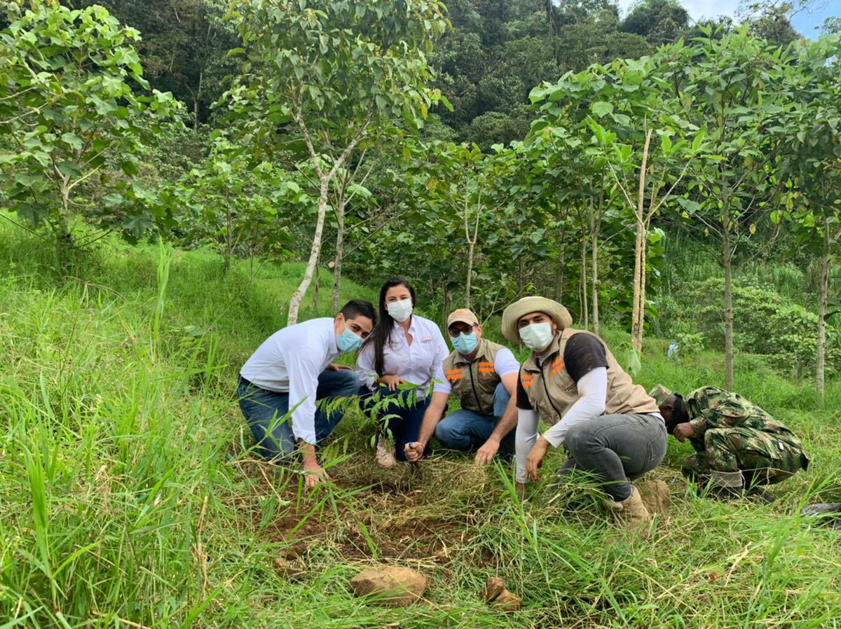 CODEPARH tweet media