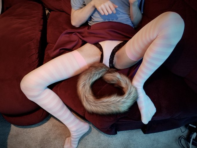 My new favorite clothing set~ 😻 Wanna see what's under these panties?  Full post link in description #nsfw<a href="/tag/lingerie"class="tags"><span>#lingerie</span></a><a href="/tag/panties"class="tags"><span>#panties</span></a><a href="/tag/furry"class="tags"><span>#furry</span></a><a href="/tag/nsfw"class="tags"><span>#nsfw</span></a><a href="/tag/upskirts"class="tags"><span>#upskirts</span></a><a href="/tag/crossdressing"class="tags"><span>#crossdressing</span></a>