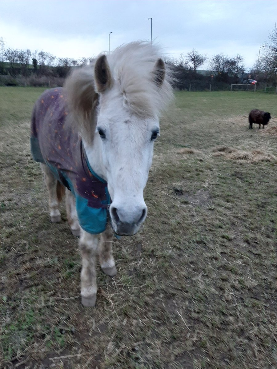 Leighton clay tweet media