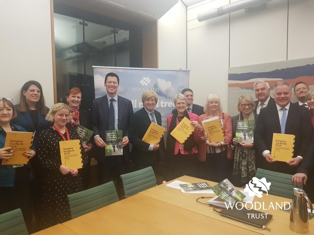 WT_Darren's tweet photo. Since #EmergencyTreePlan launch, the All Party Parliamentary Group for Woods and Trees chaired by @JasonMcCartney has gone from strength to strength, including submissions to @hmtreasury and @defragovuk, and a Westminster Hall debate on tree strategy led by @DanJarvisMP 14/15 https://t.co/jftl8d1ZAJ