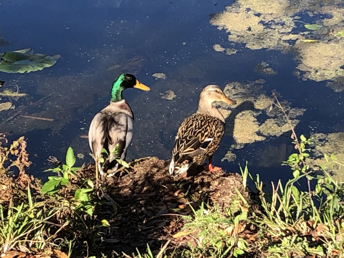 Duffy Bishop tweet media