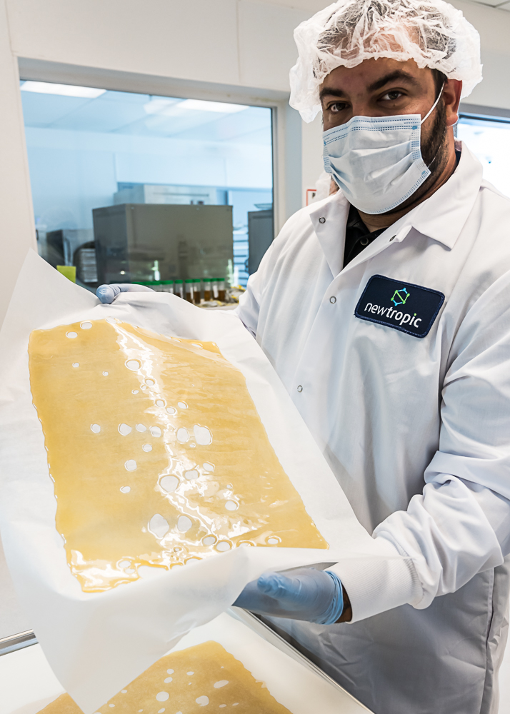 NewTropic_Co's tweet photo. Some Shatter from the NewTropic lab. NewTropic produces high-end concentrates for both wholesale and brands. Learn more at https://t.co/KHp7UuRBH0
#CannabisExtraction #CannabisConcentrates #CaliforniaCannabis #NewTropic https://t.co/Ego5xlBVPA