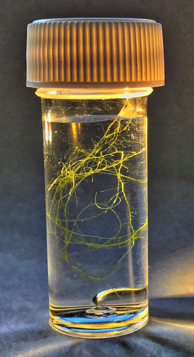 Simon Sublime tweet media