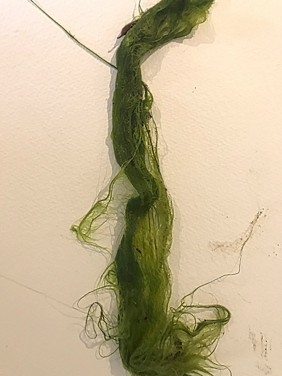 Simon Sublime tweet media