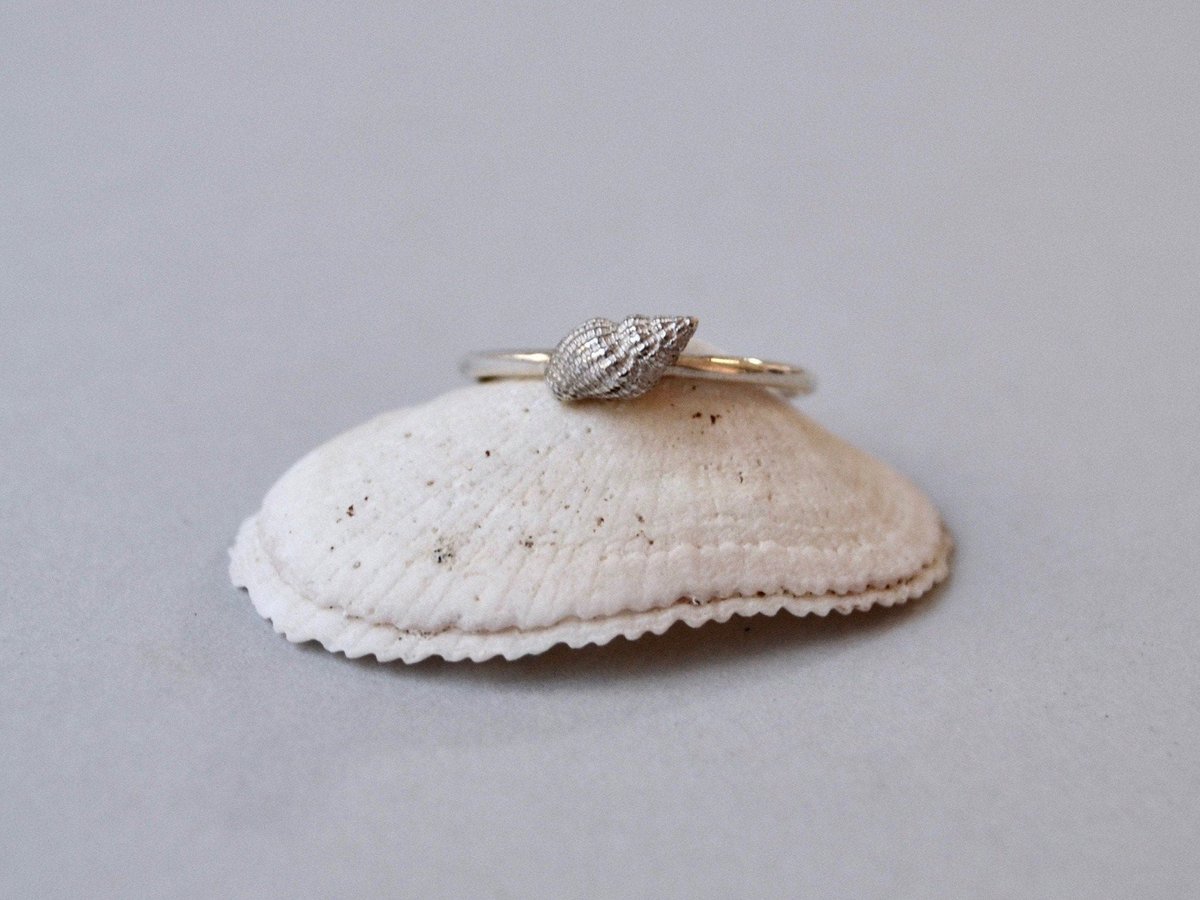 NielloShowroom's tweet photo. @ my #etsyshop https://t.co/x8XXHQiPCr
#ring #shellring #silverring #ringoftheday #perfectring #summer #travel #memories #islands #islandlife #handmade #silvershell #survivor #survivorgr #giftideas #giftforher #perfectgift #etsygifts #etsyfinds #etsysales #nielloshowroom #aegina https://t.co/sIujs3Lluc