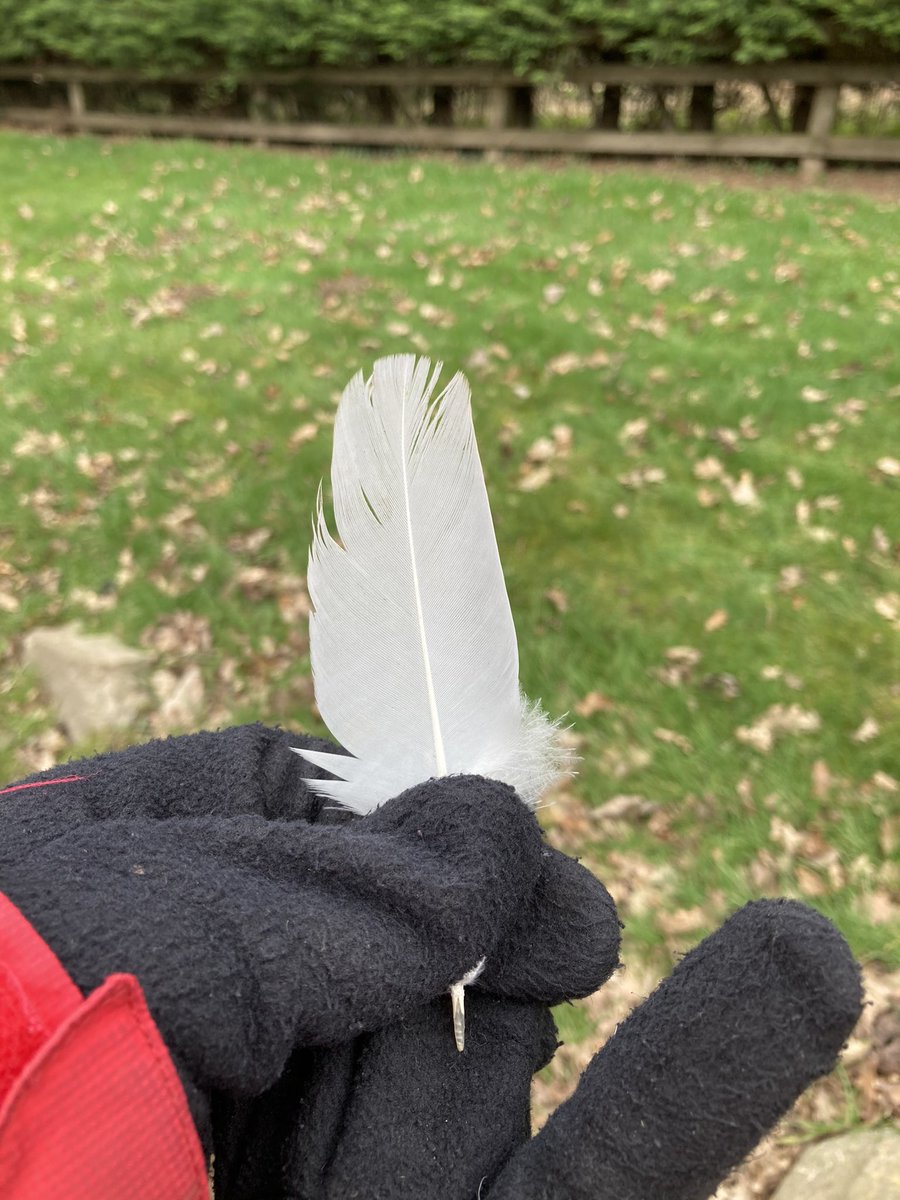 kit2kat's tweet photo. #50milesinFeb Miles 42&43 - getting there π #ForSian ππ @childrensociety @ChildSocChurch if you are able... https://t.co/D61i5d6zR7 https://t.co/OT4dXGMVH4