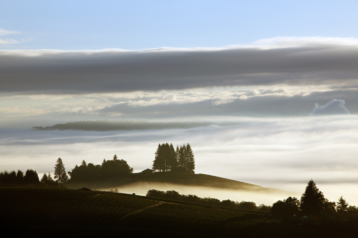 Every day really is a new beginning, especially in the Dundee Hills where no two sunrises are the same!

...
#dundeehills #willamettevalley #oregon #pnw #pacificnorthwest #pnwlife #upperleftusa #upperleft #pnwwine #oregonexplored #exploreoregon #traveloregon