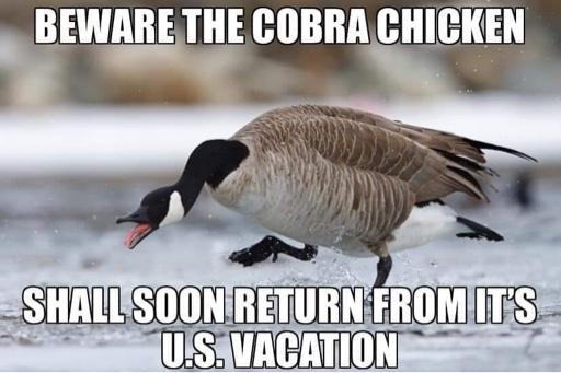 Imperial Seed tweet media