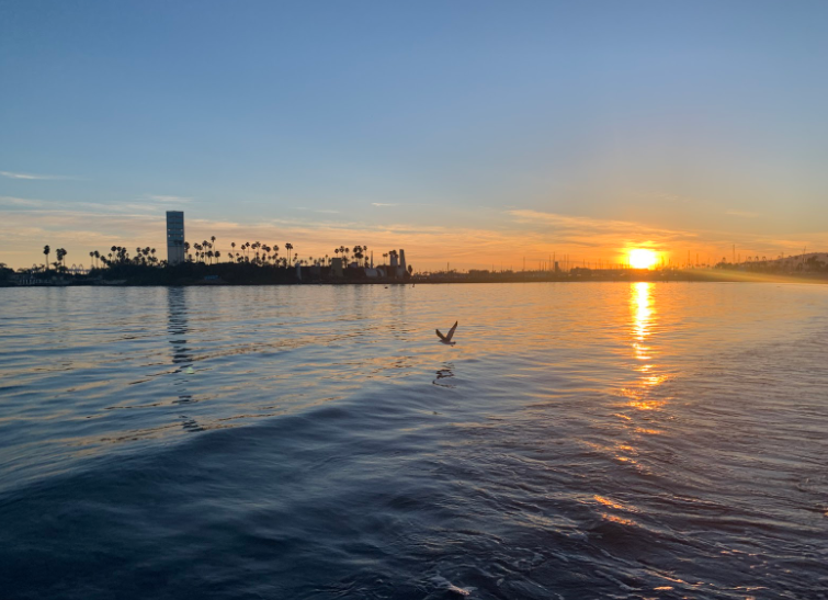 polyhighlife's tweet photo. Read about a recent realization that Zinia Francis, one of our student-journalists, came to: https://t.co/hgGXGV4Ln5 https://t.co/L4hqoyQU8G