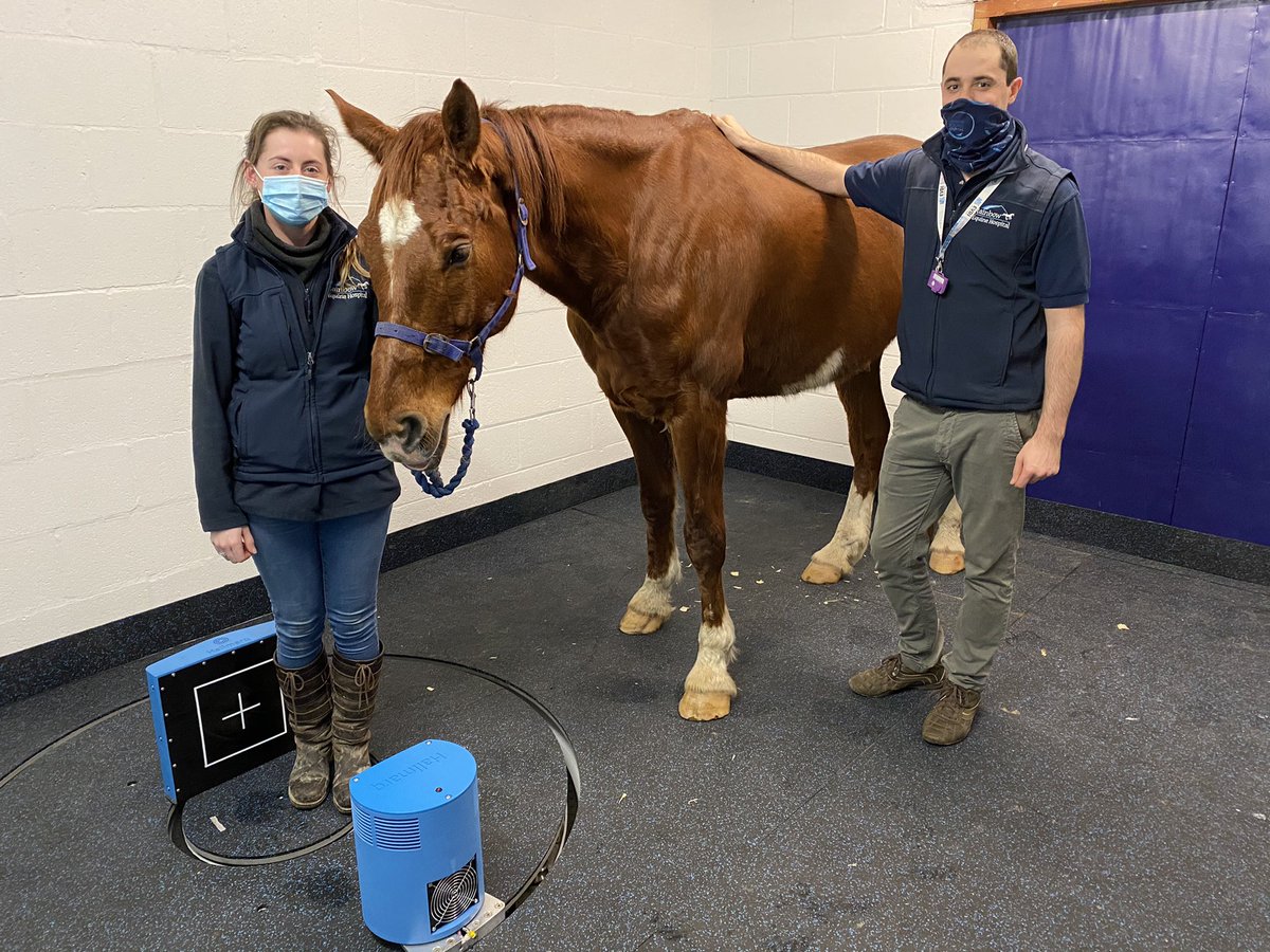 JonathonDixon13's tweet photo. The newest technology for standing imaging of horses and we are proud to be a part of it. @HallmarqVI https://t.co/tNzAJIX01O