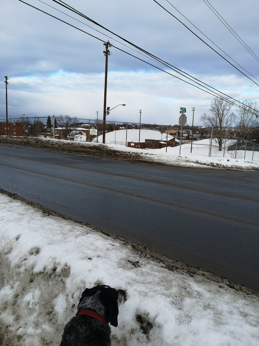 HoaryTweets's tweet photo. .@GreaterSudbury If you're not going to install sidewalks or clear the ones that exist, could you put in a stop sign? Spent ten minutes getting splashed by cars, waiting to cross. 🤬 https://t.co/VfMviECQ9y