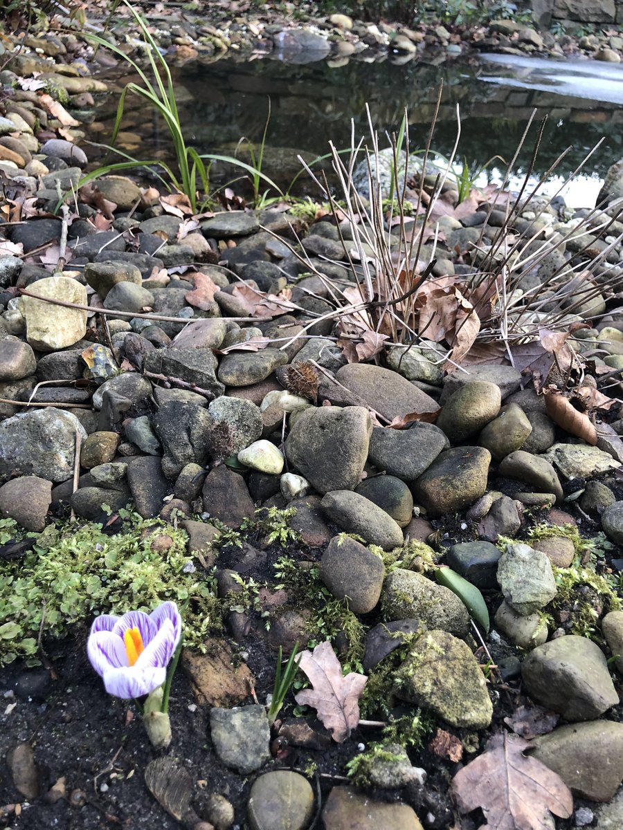 Thomas Wimmer tweet media