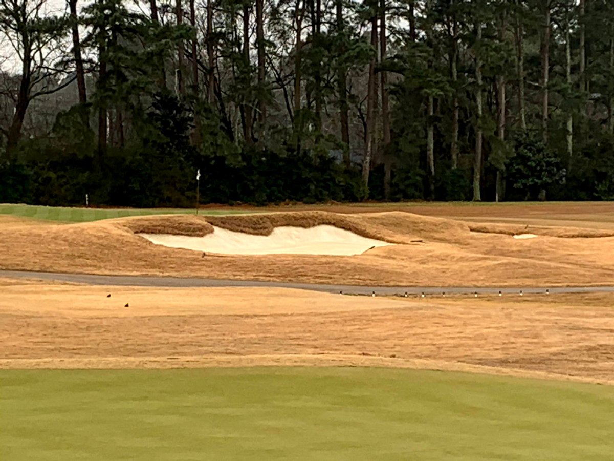 CapillaryFlow's tweet photo. Capillary Concrete completed 18 hole project at Raleigh Country Club, Raleigh, NC installed by La Bar Golf Renovations and supplied by Ewing Irrigation. Special to Billy Cole, Supt. and McConnell Golf, LLC  
#capcon #bunkerliners #golf #golfing #golflife https://t.co/SrnsEvoT1f