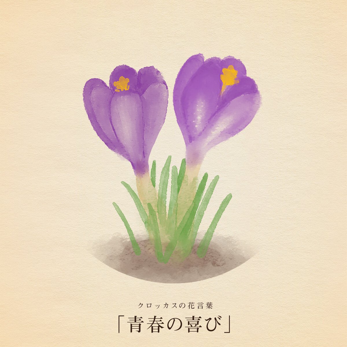 はな言葉 新刊出ました V Twitter きょう2月24日は 月光仮面登場の日 クロスカントリーの日 鉄道ストの日 二部式帯の日 スティーブ ジョブズの誕生日 誕生花はクロッカス 花言葉は 青春の喜び