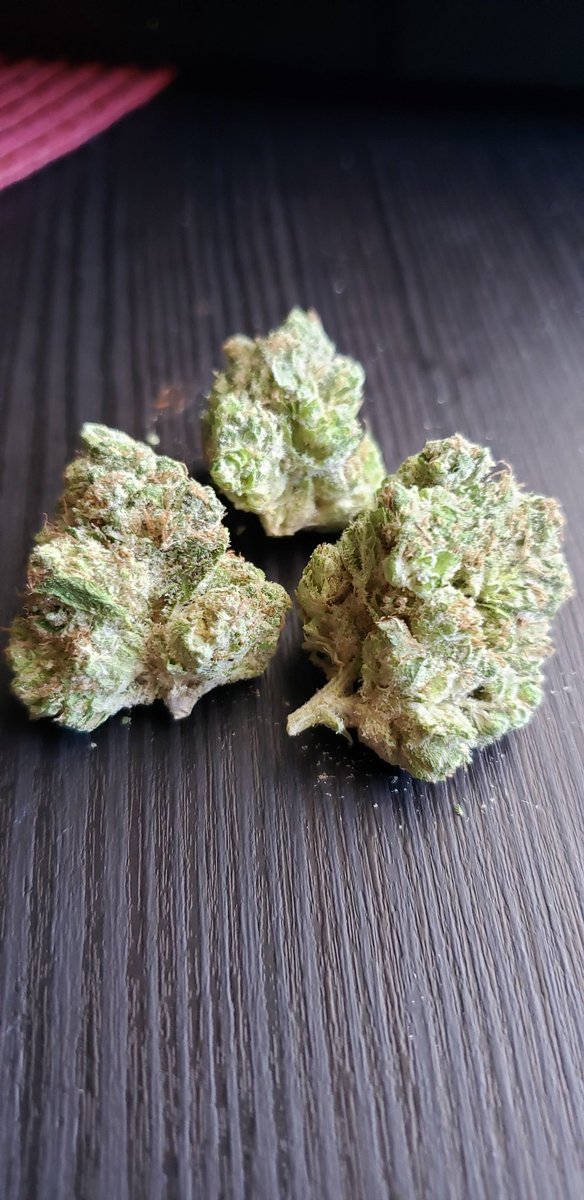 MikeyMyers_Jr's tweet photo. Now it is nap time ☺☺, this White 99 is a super potent Sativa Hybrid. Cinderella [indica] crossed with the white [sativa] to create this amazing strain. Found a new favorite for sure. Mj is my medicine. Let's blaze. 
#medicalmarijuana #white99 https://t.co/2EDPHBaCDP