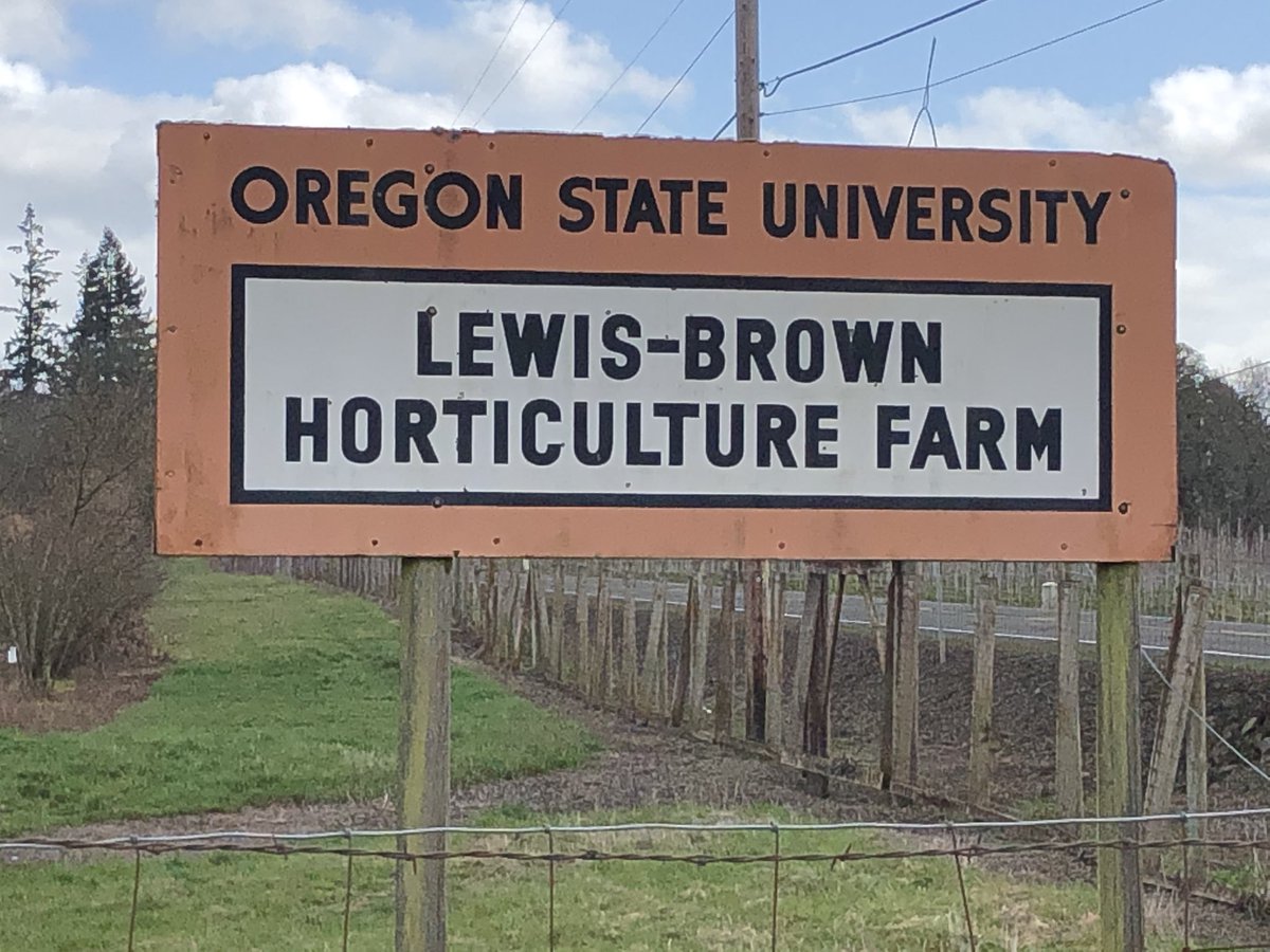 jonatkins37's tweet image. A great afternoon to check out the latest M. Patch research at Oregon State. Thanks @osubeaverturf @mattoxgolf for the time! #Turf #Research #PerformancePack @SimplotTurf