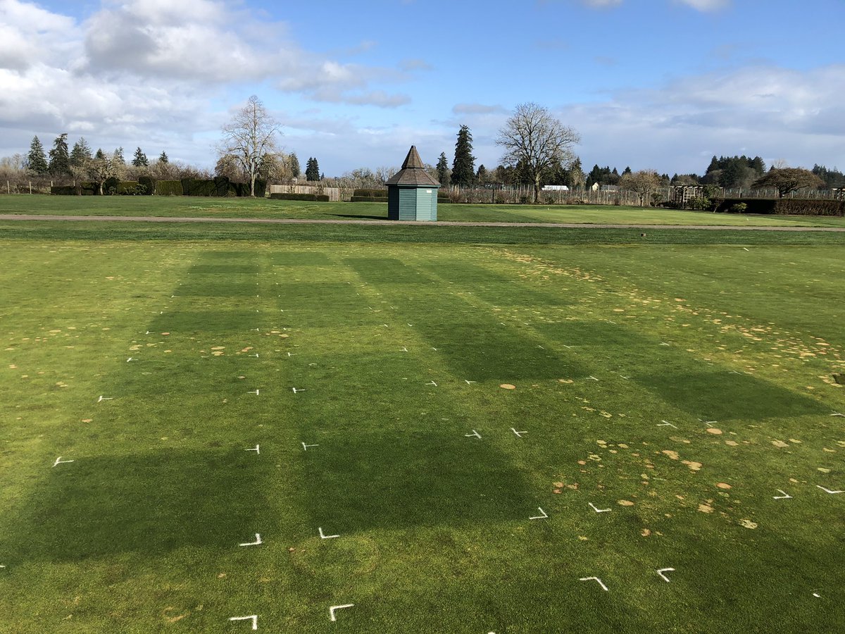 jonatkins37's tweet image. A great afternoon to check out the latest M. Patch research at Oregon State. Thanks @osubeaverturf @mattoxgolf for the time! #Turf #Research #PerformancePack @SimplotTurf