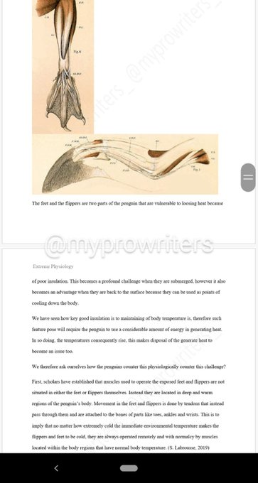 myprowriters01's tweet photo. Let me handle your #Coursework #onlineclasses well in time before due date. #GuaranteedGradeA/A+
#Nursing  
#bookreviews 
#MovieReviews 
#Math 
#Essays 
#Accounting 
#Statistics
#History 
#Algebra 
#Precalculus  
#Calclus
#Nuing 
#Physiology 
Dm 24/7
📧myprowriters01@gmail.com https://t.co/gmLSBof8MX