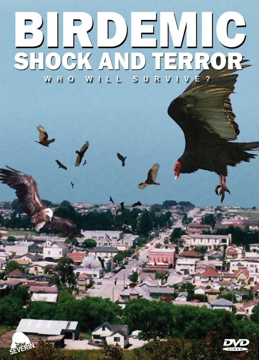 FilmMomatic's tweet photo. #NowWatching BIRDEMIC - SHOCK AND TERROR @movieheadpics #WhitneyMoore @AlanBagh #ColtonOsborne #RickCamp #DamienCarter #StephenGustavson #PatsyVanEttinger #AdamSessa #CatherineBatcha #JanaeCaster #HeadInjuryFilm https://t.co/wswpOFuqMu