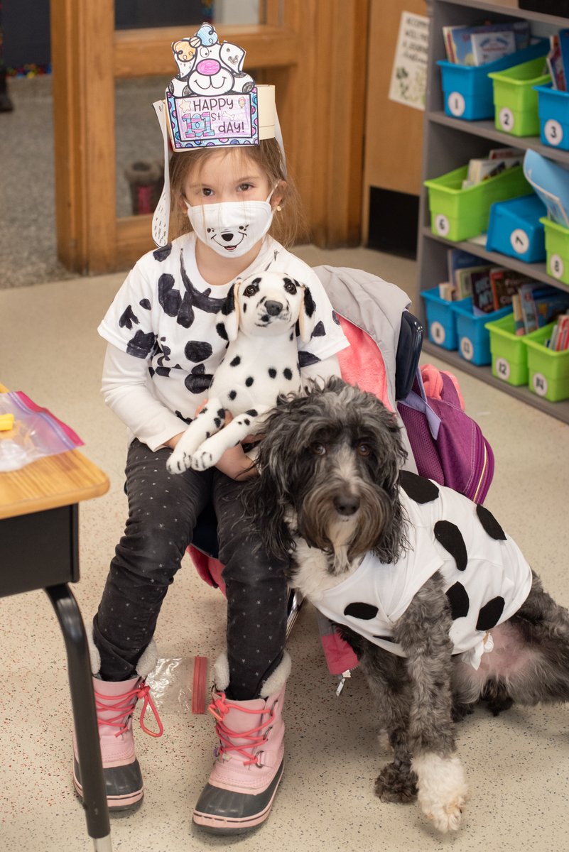 funfearless1st's tweet photo. These first grade #bvillebees celebrated the 101st Day of School... Dalmatian style! More pics on Facebook! #wehavefunhere #STEM #iseespots #creativity @BCSDBEES @ReynoldsBville https://t.co/PbwtuO6qIW