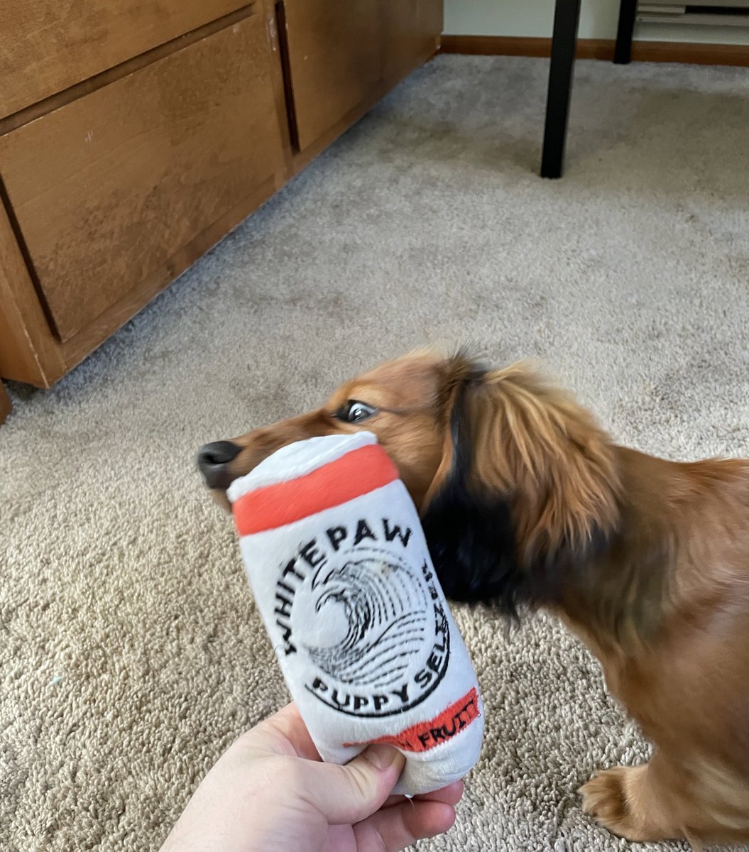 GuyWithDog's tweet photo. Guy forced to take away Dog's WHITEPAW™️ after being obviously over served at a local bar https://t.co/HVZP4LDlwG