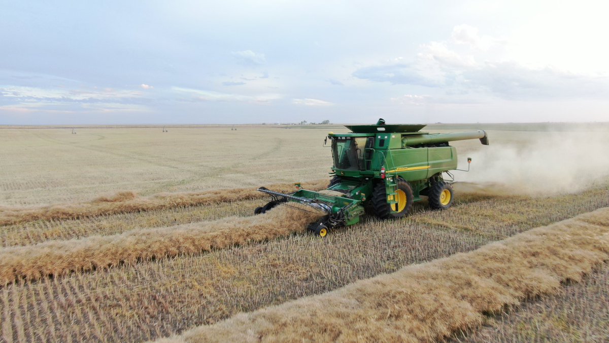 ashbodie's tweet photo. Happy #CdnAg day!! What an incredible industry to be apart of 🤩😁 #ThankAFarmer https://t.co/7H4WLroSqY