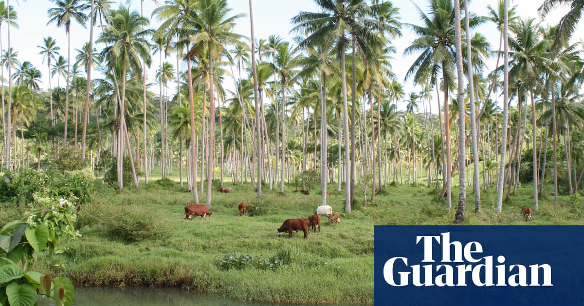 Kiribati and China to develop former climate-refuge land in Fiji Photo 