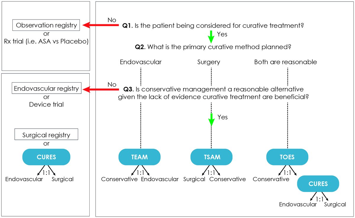 We enrolled the 282nd participant in the CAM study today. More information on the CAM study: tinyurl.com/3d3c9ksp Care research, to offer prudent care and find out what makes a ‘good medical practice’, belongs to care ethics, to patients and everyday clinician. @YoungNIR