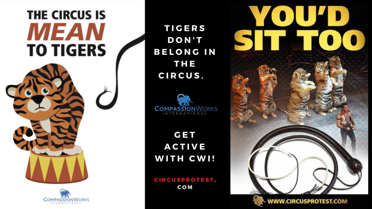 CircusProtest's tweet image. 