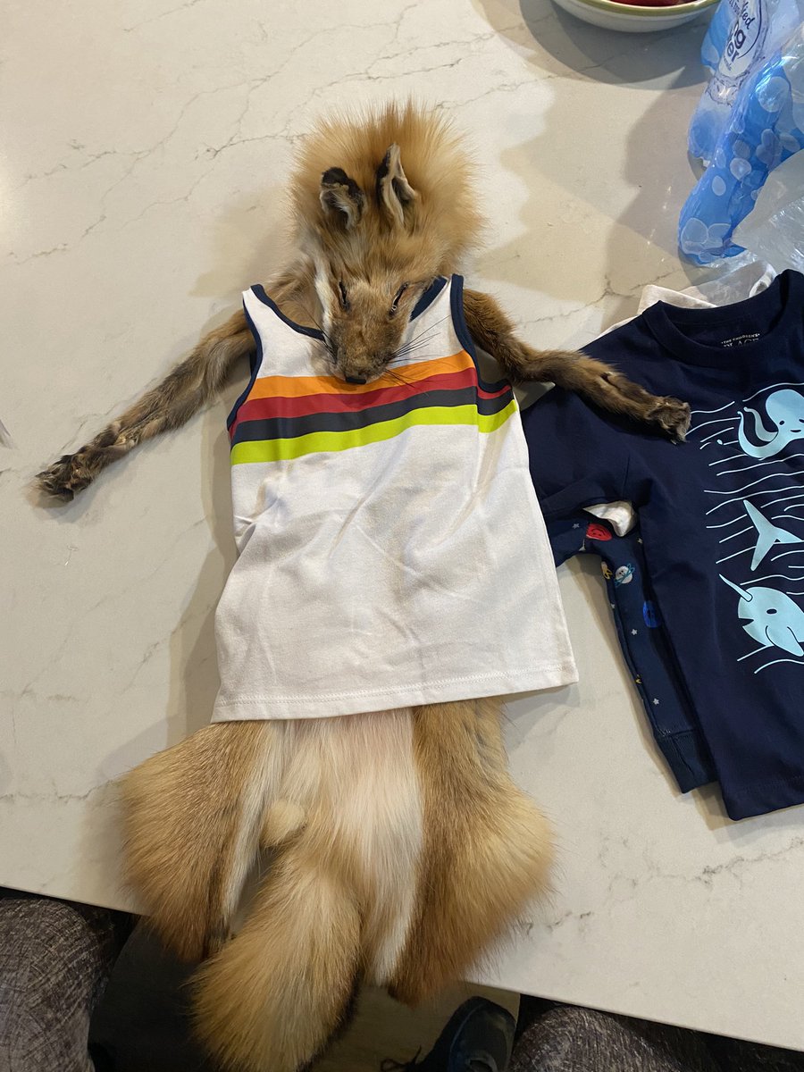 Illuminium_'s tweet photo. New wardrobe for Mr.G my upcoming soft mount. He will be in the making next weekend!
#softmount #taxidermy #fox #oddity #foxtaxidermy https://t.co/MrTVBm1Rkl