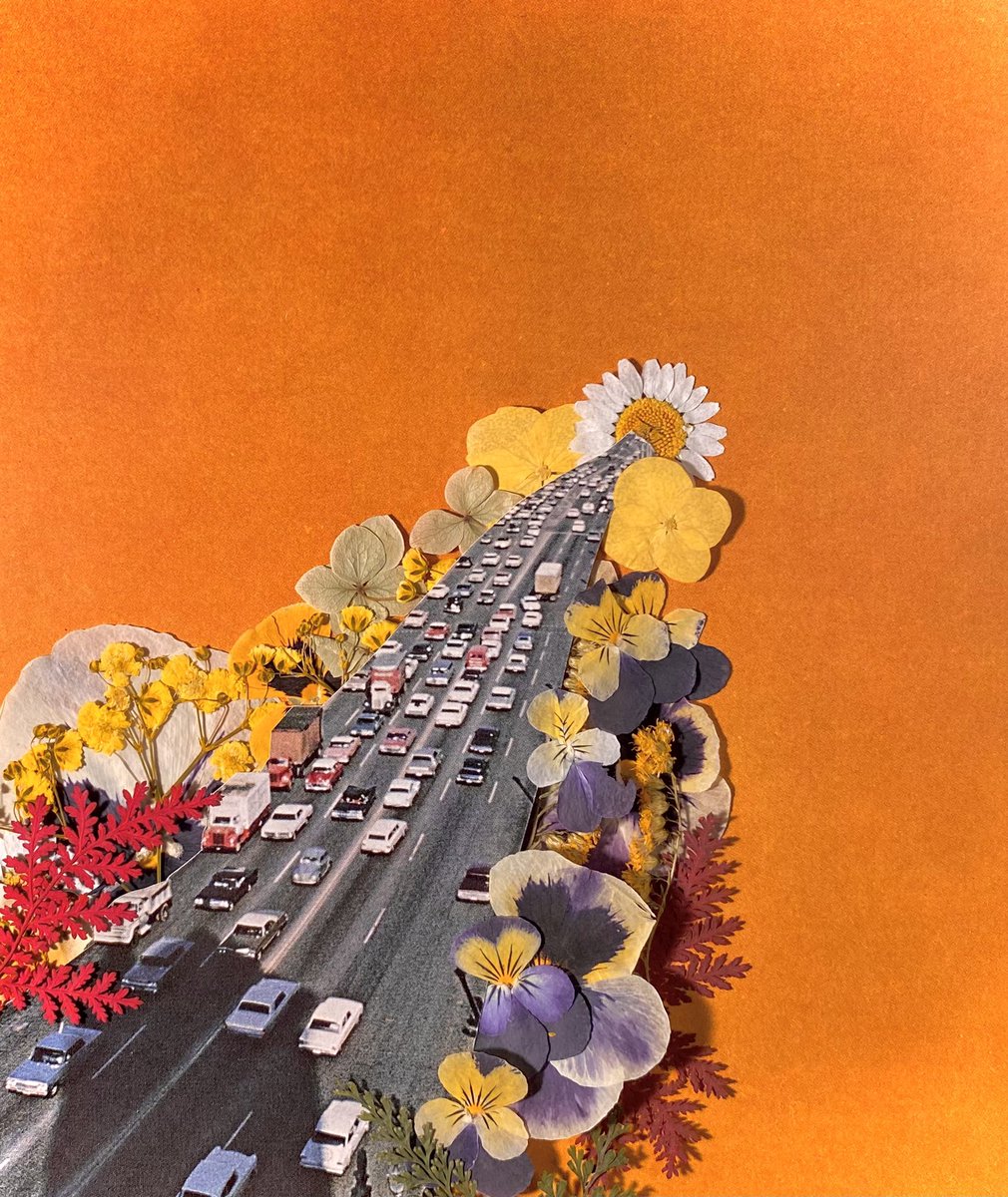 PhibDoesThis's tweet image. Dreaming of spring