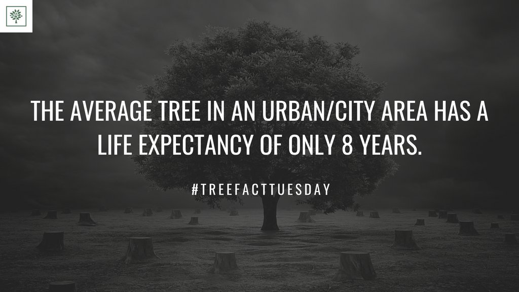 TreesForBooks's tweet image. #treesforbooks #treefacttuesday