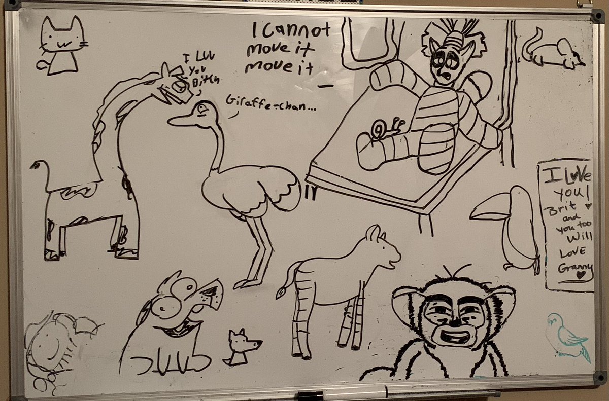 Nertalert's tweet photo. Myself, @Arkulus_ and some other friends drew animals on our whiteboard! #kingjulien #giraffe #ostrich #morice #dogs #cat #MEMES #toucan #ocapi #mouse #doodles #marker #whiteboard #fun #lemur https://t.co/0aY4aGDFWS