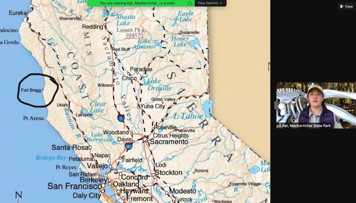 Thanks to @zoom_us all of 1st grade Thunderbirds were able to attend a virtual field trip at Mackerricher State Beach via the <a href="/portsprogram/">CA State Parks PORTS Program</a>...so educational and super fun! Our kiddos loved it.  <a href="/WillmoreWSD/">Willmore T-Birds</a> <a href="/westminstersd/">Westminster SD</a>